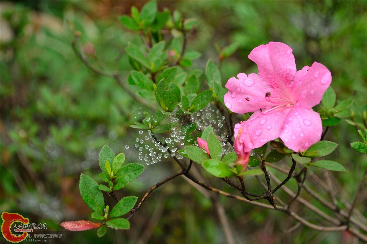 201106063070.jpg