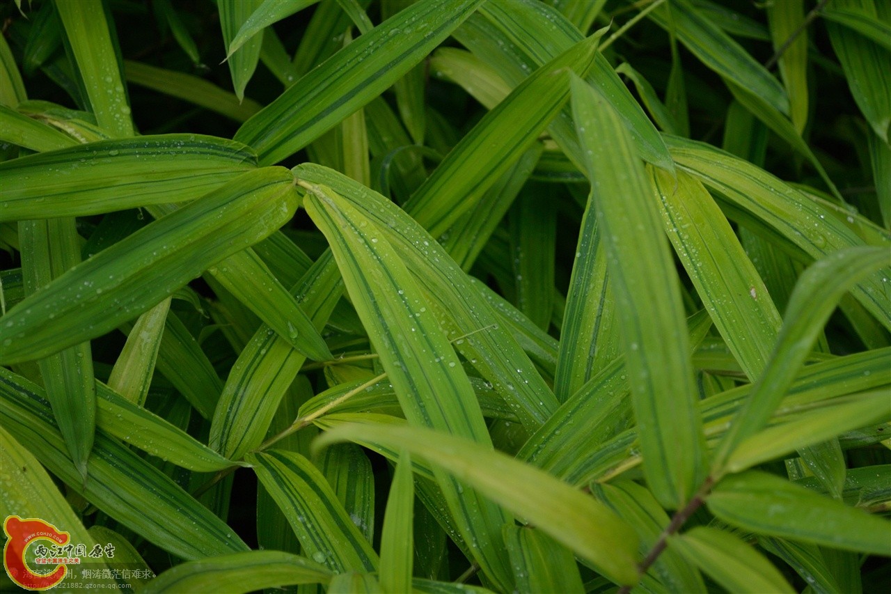 201106063080.jpg