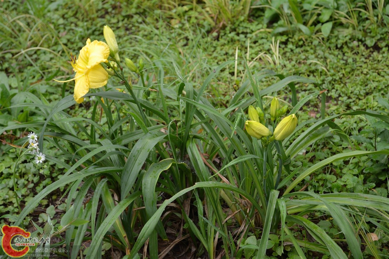 201106063081.jpg