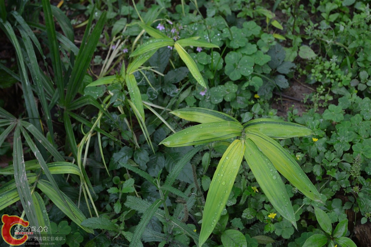 201106063083.jpg