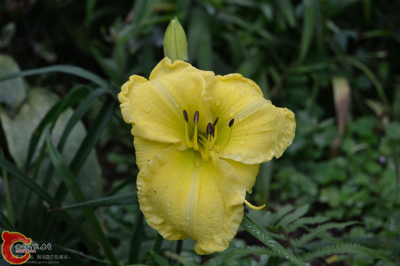 201106063087.jpg
