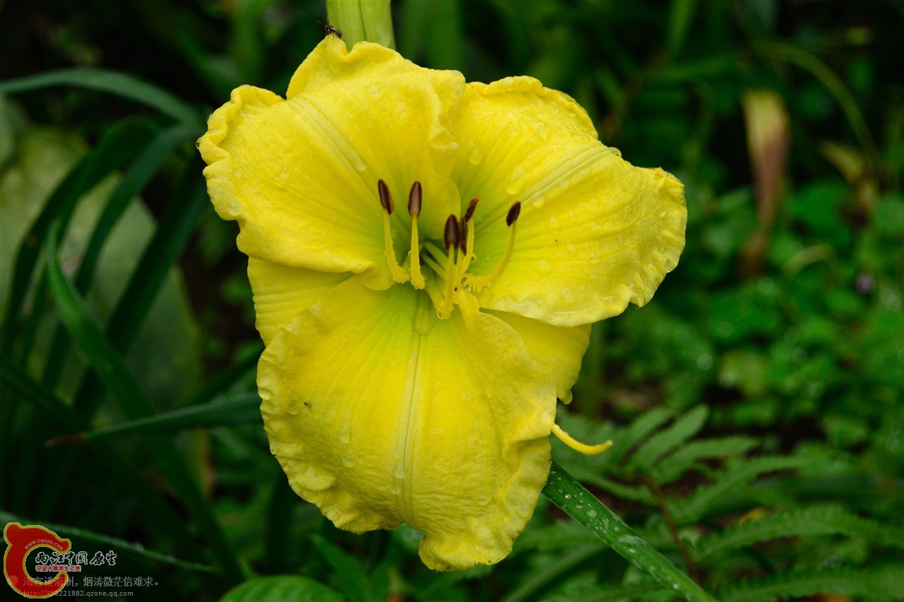 201106063089.jpg