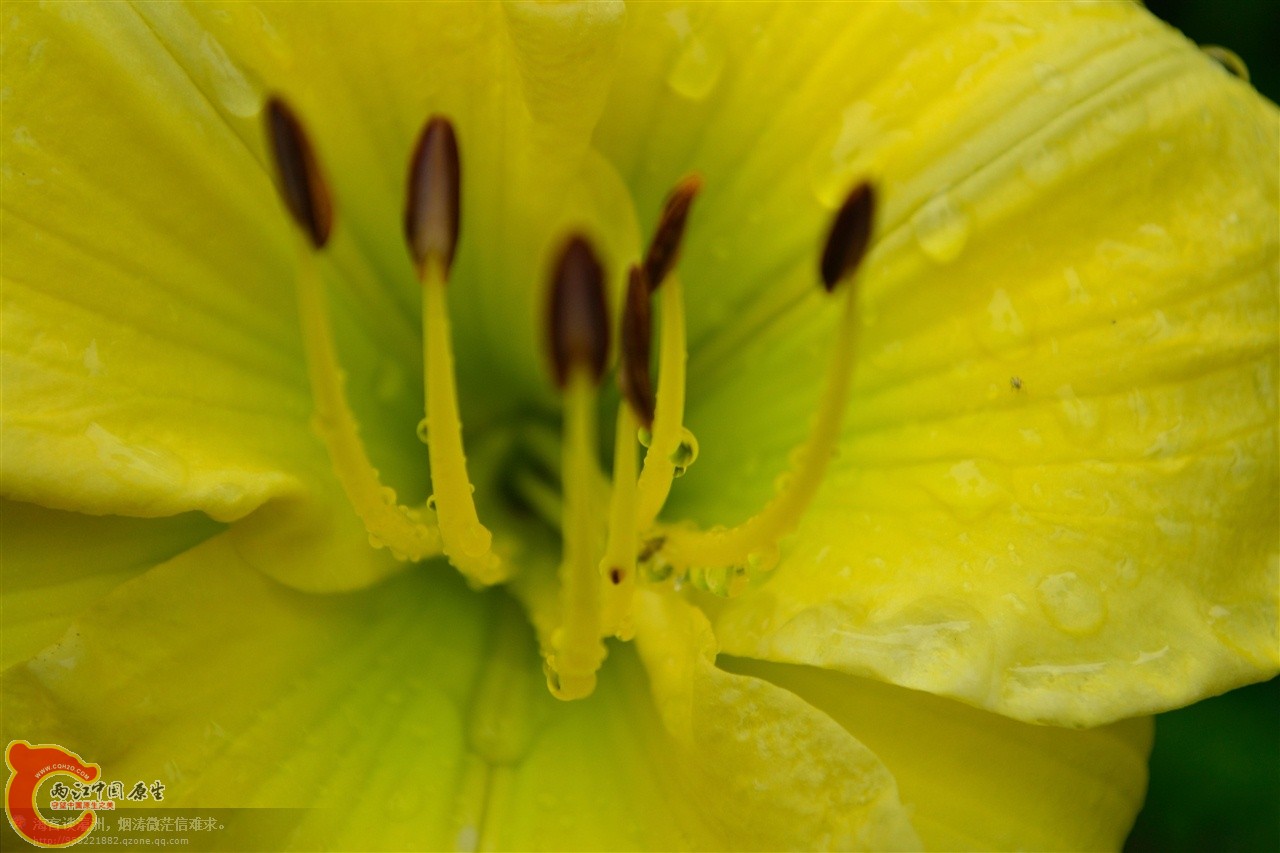 201106063090.jpg