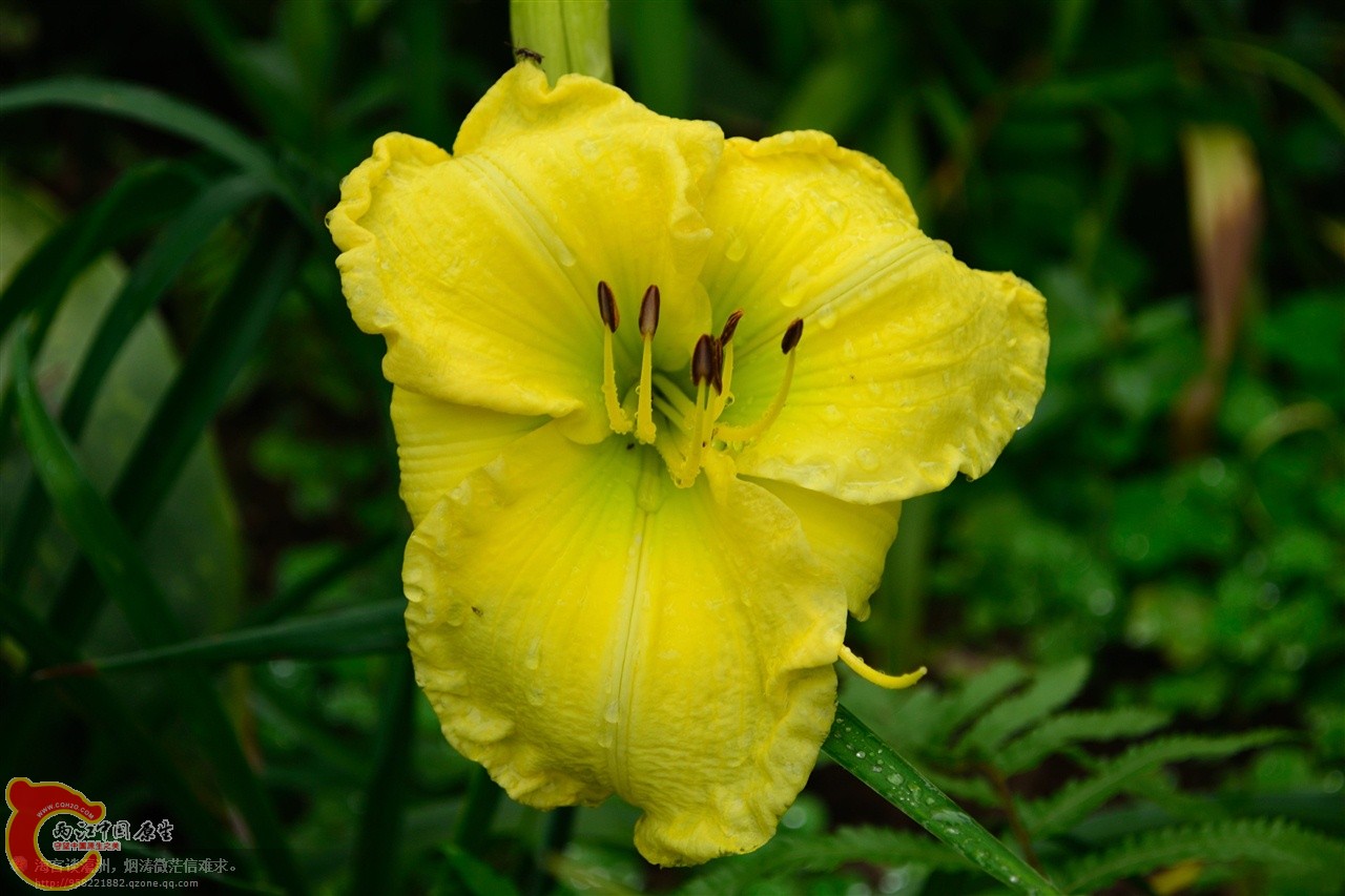 201106063091.jpg