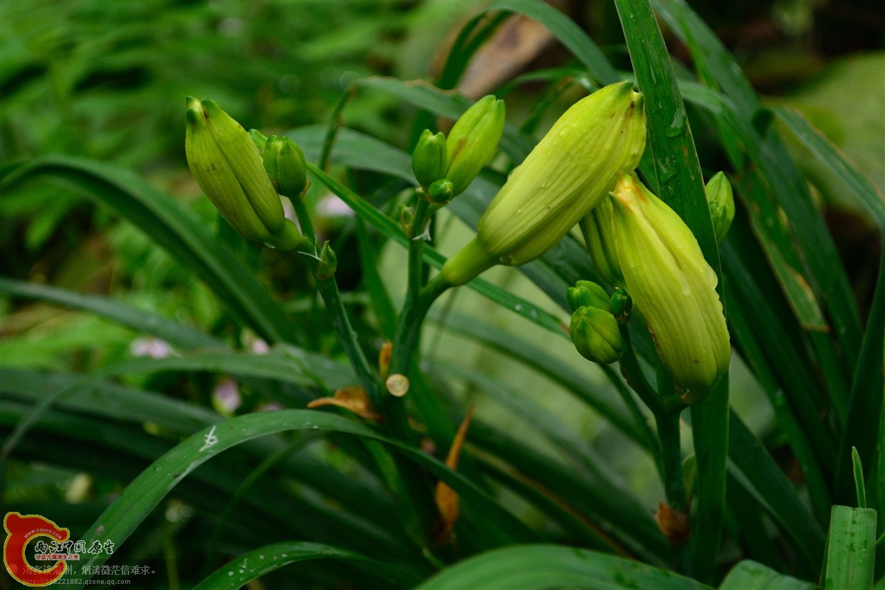 201106063092.jpg