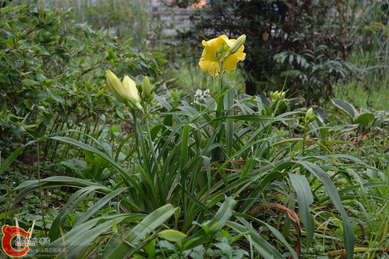 201106063094.jpg
