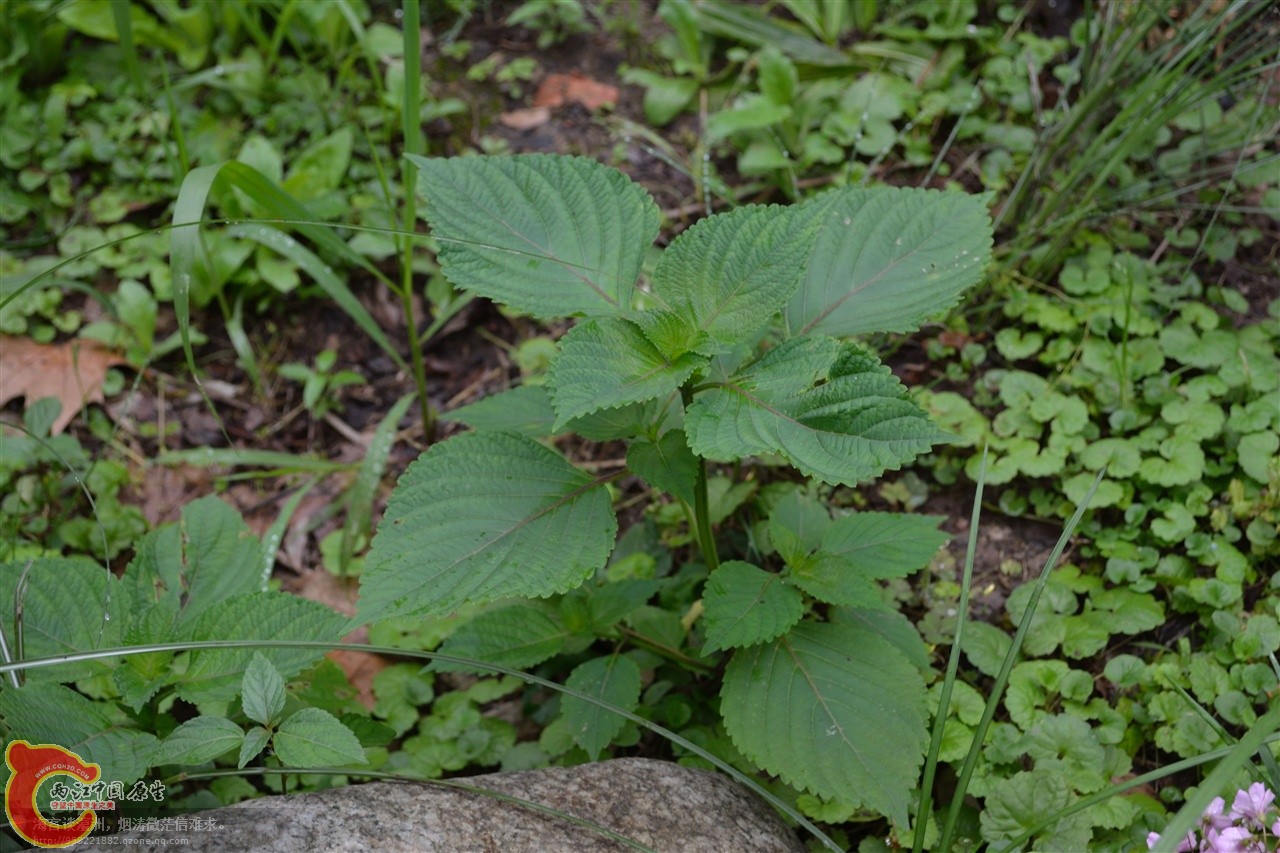 201106063095.jpg