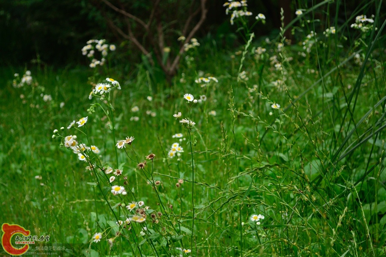 201106063100.jpg