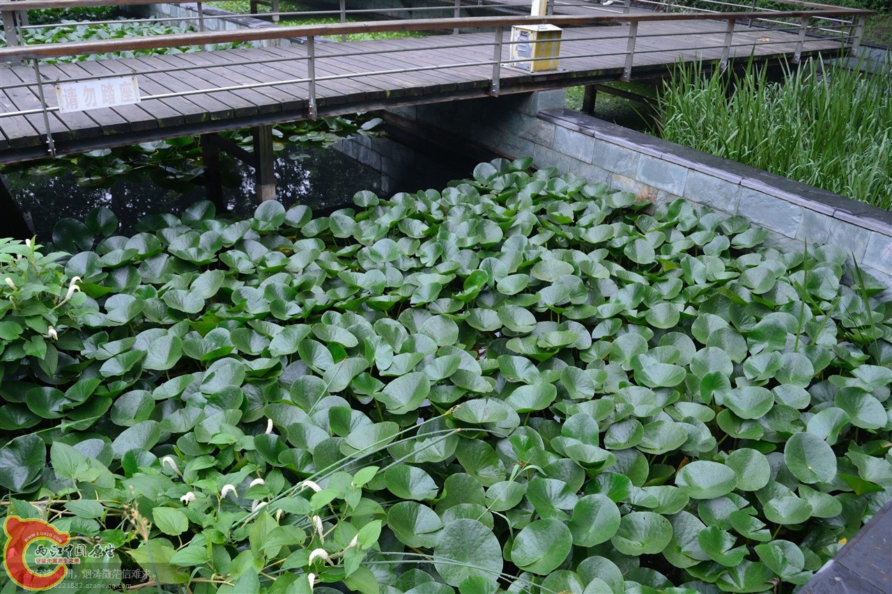 201106063102.jpg