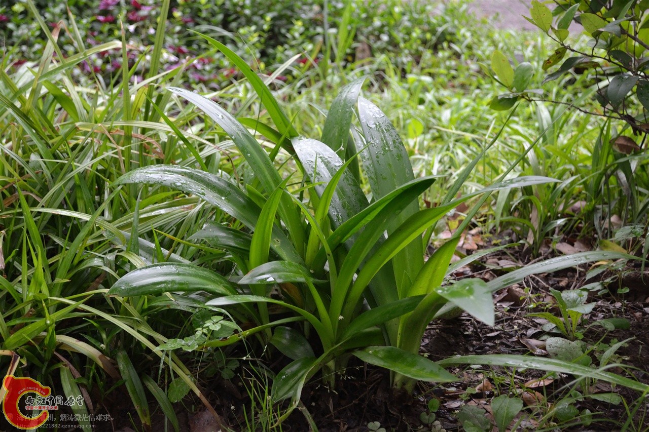 201106063104.jpg
