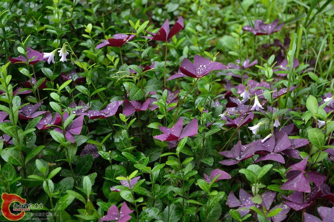 201106063106.jpg