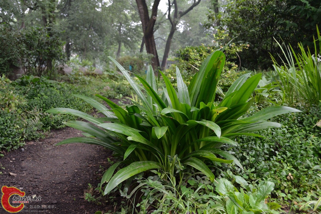 201106063113.jpg