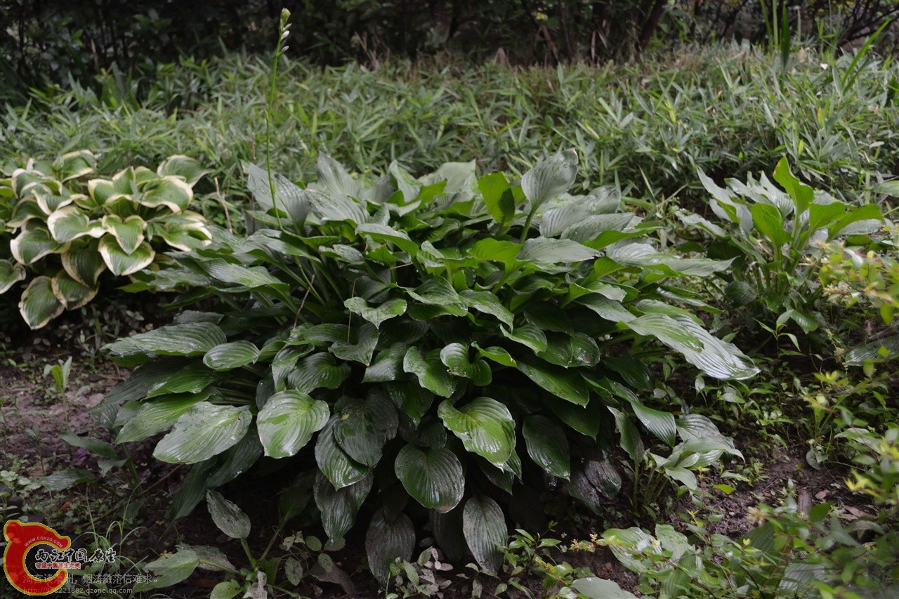 201106063114.jpg
