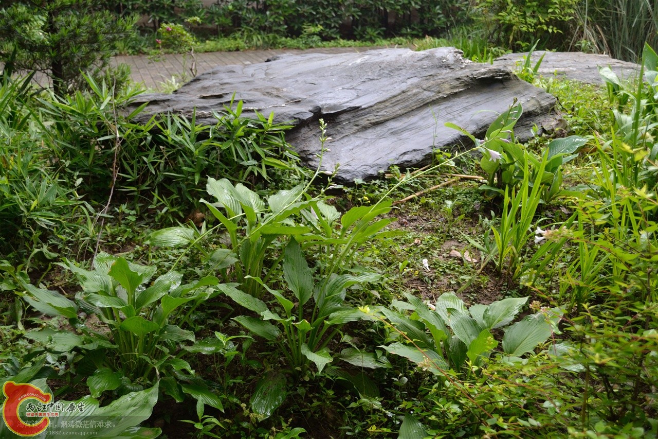 201106063115.jpg