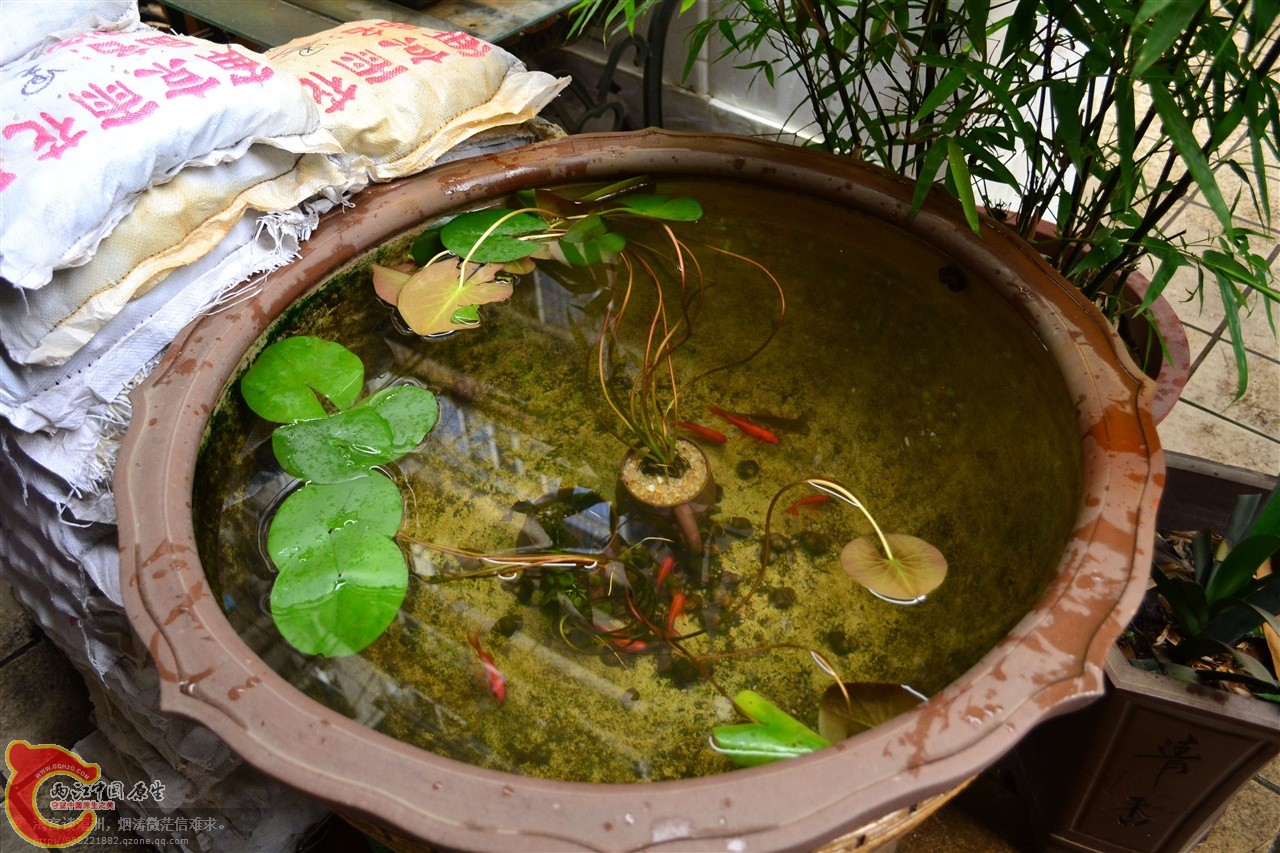 201106063176.jpg