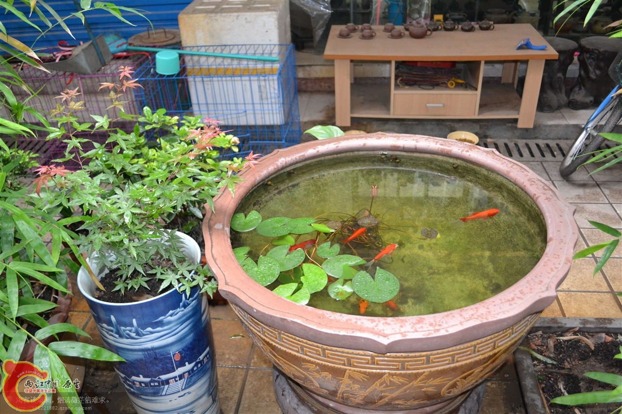 201106063183.jpg