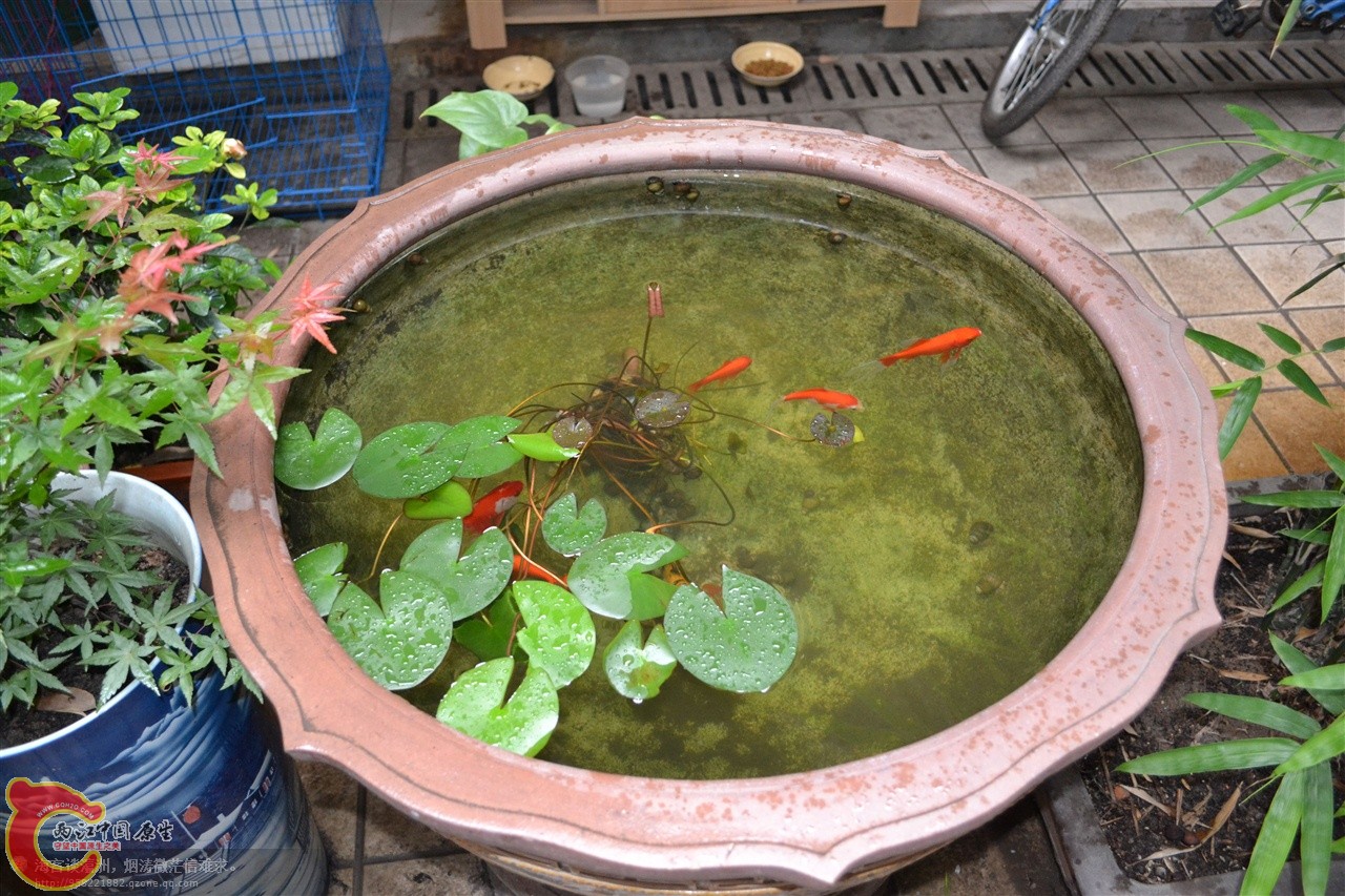 201106063184.jpg