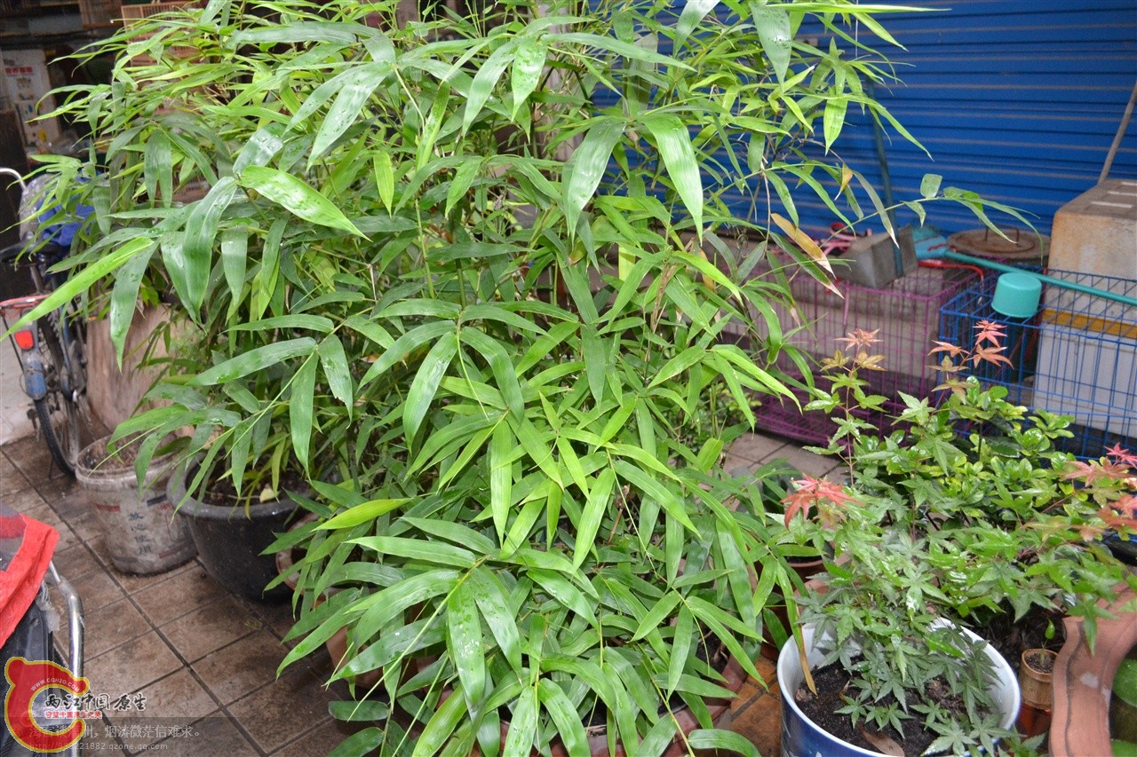 201106063185.jpg