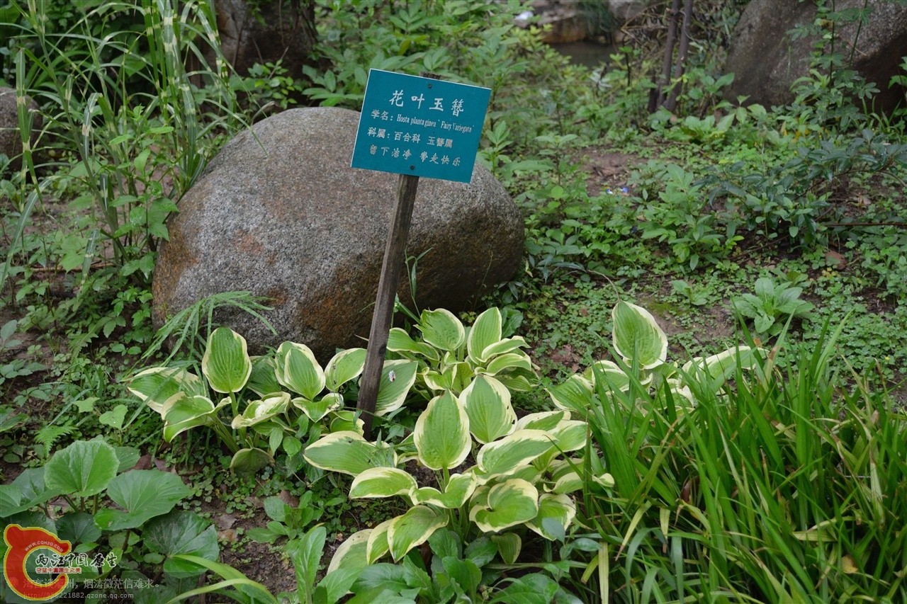 201106063116.jpg