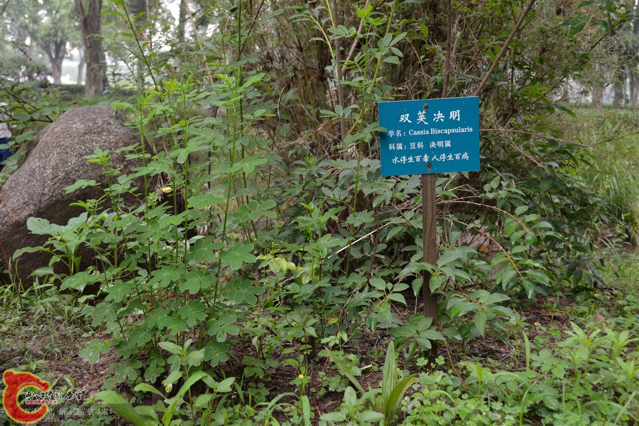 201106063117.jpg