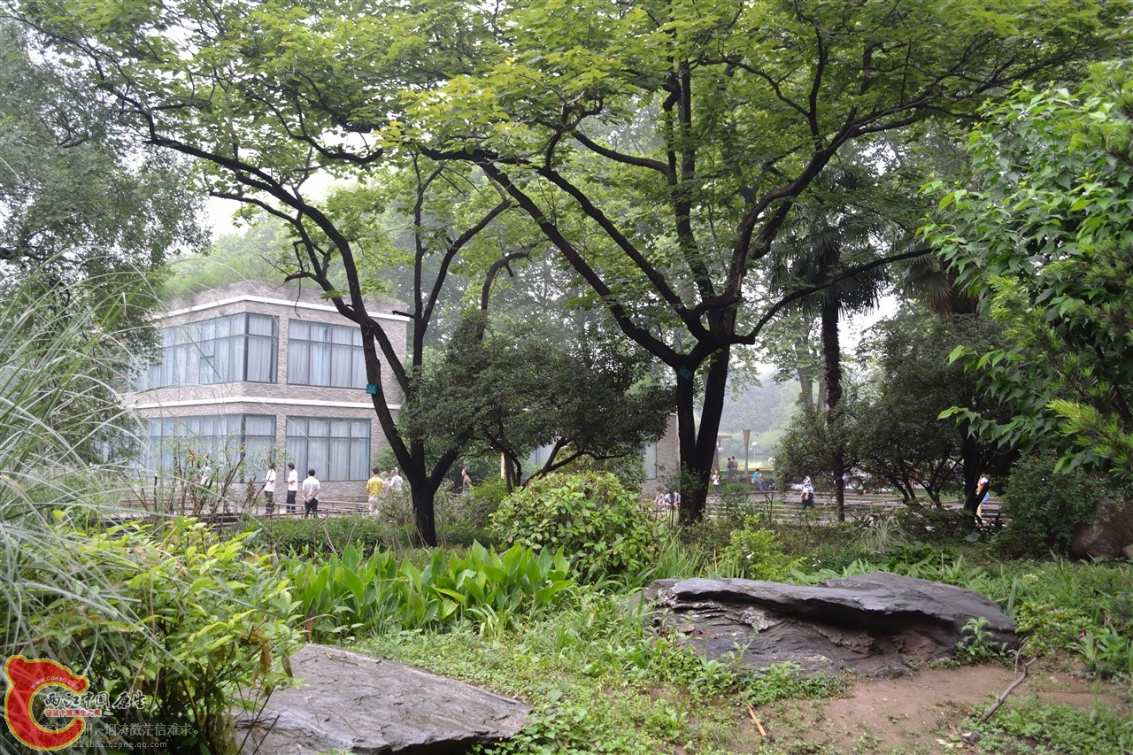 201106063118.jpg
