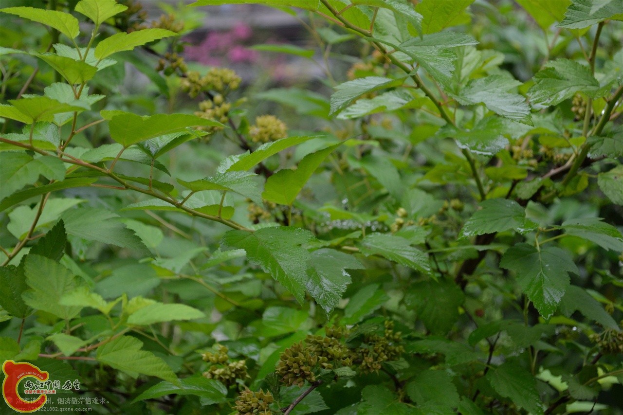 201106063120.jpg