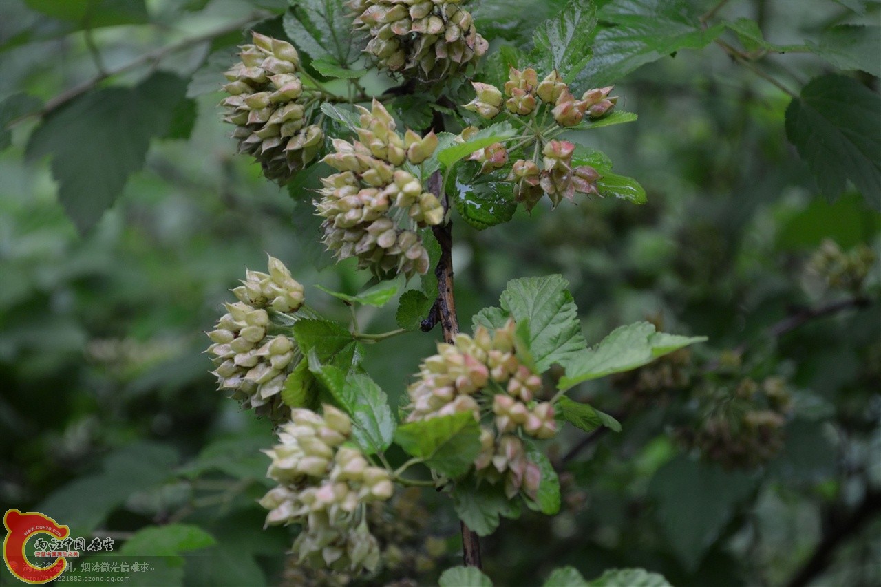 201106063121.jpg
