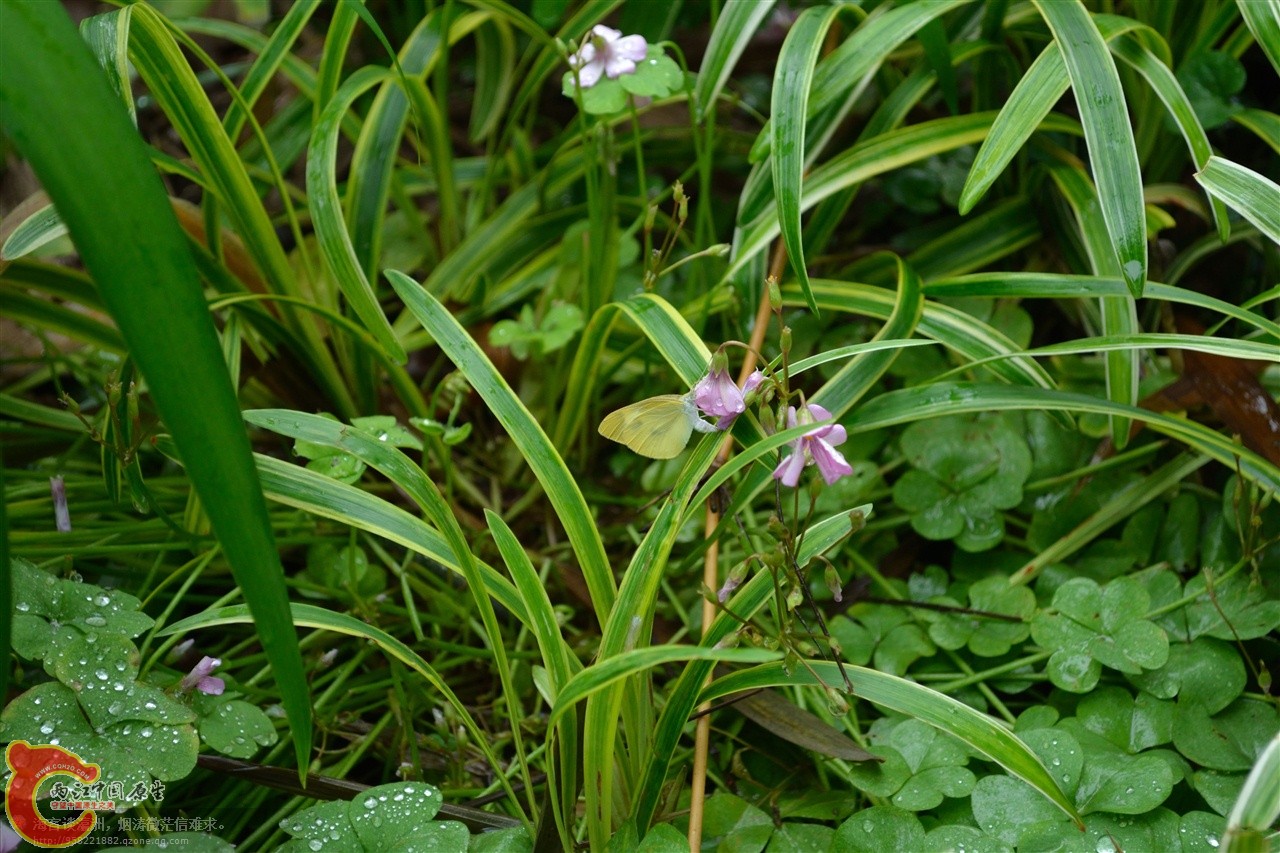 201106063124.jpg