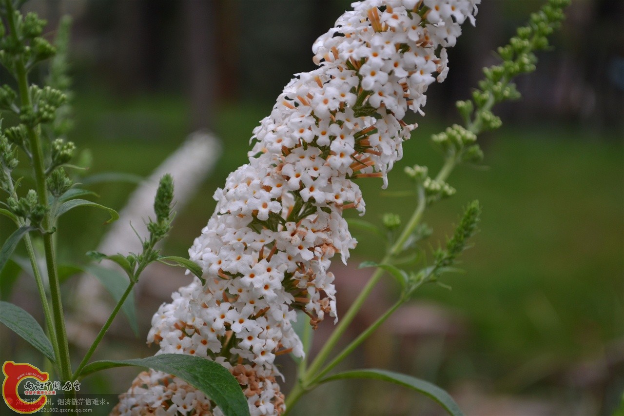 201106063133.jpg