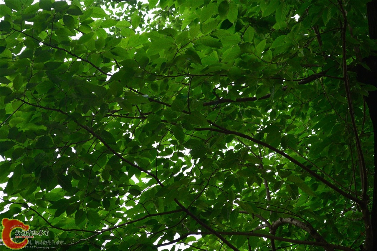 201106063143.jpg