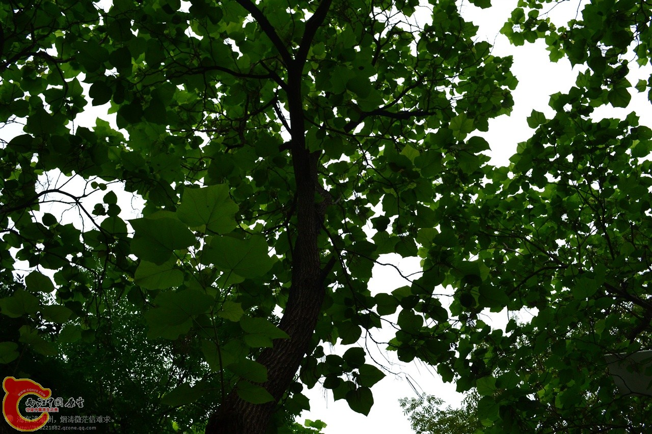 201106063147.jpg