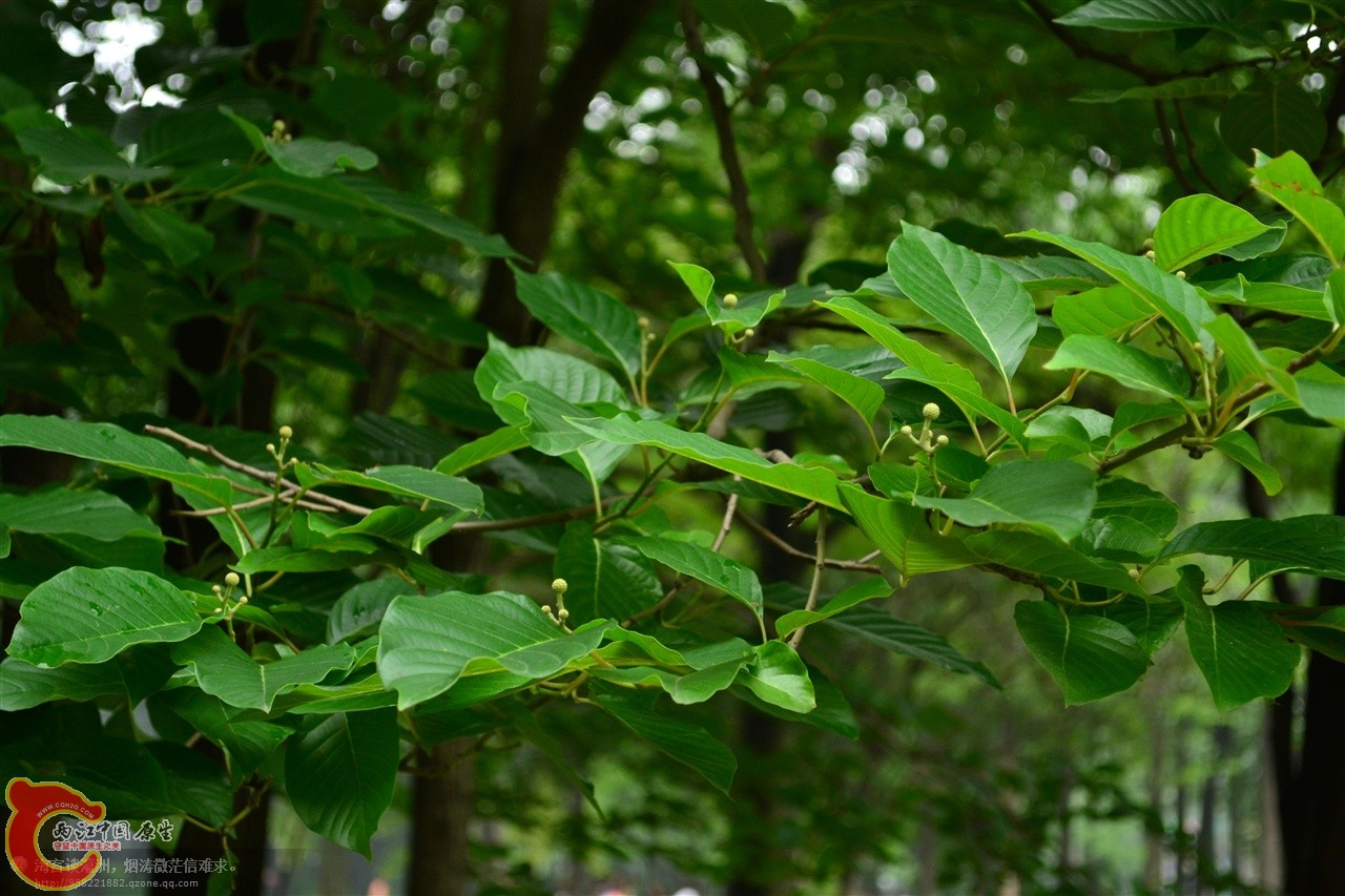 201106063152.jpg