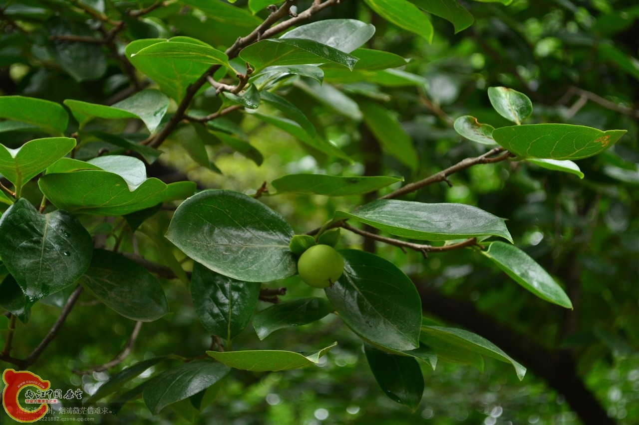 201106063153.jpg