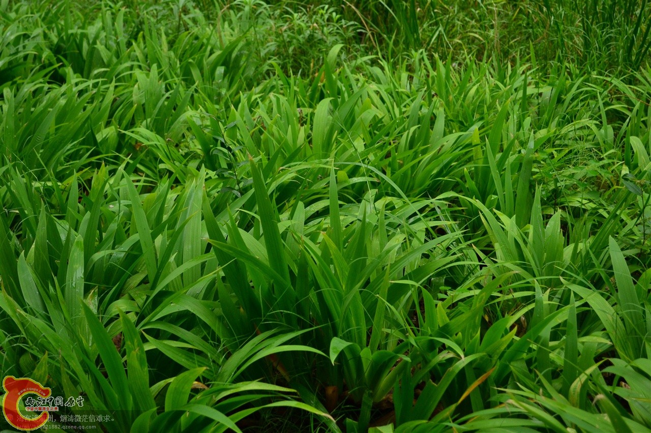 201106063154.jpg