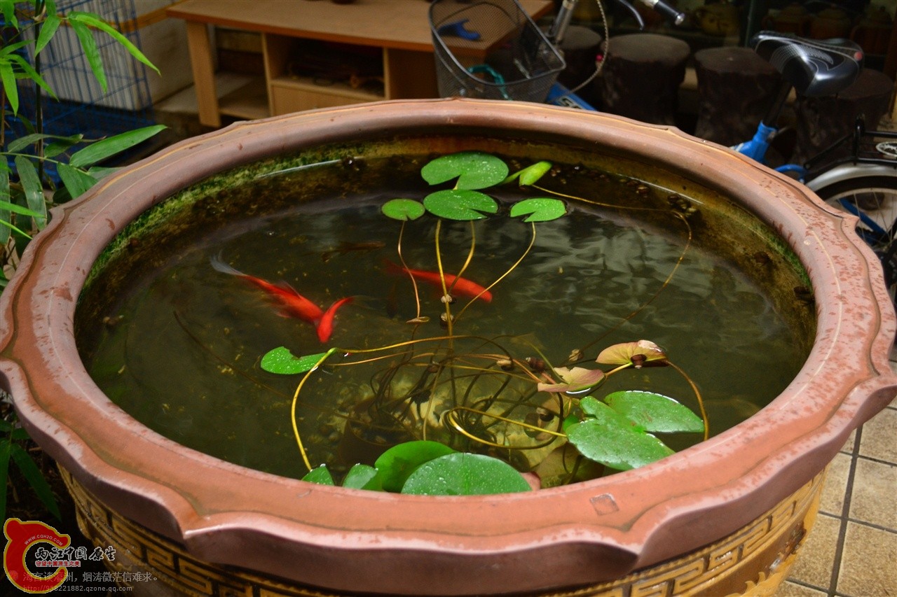 201106063174.jpg