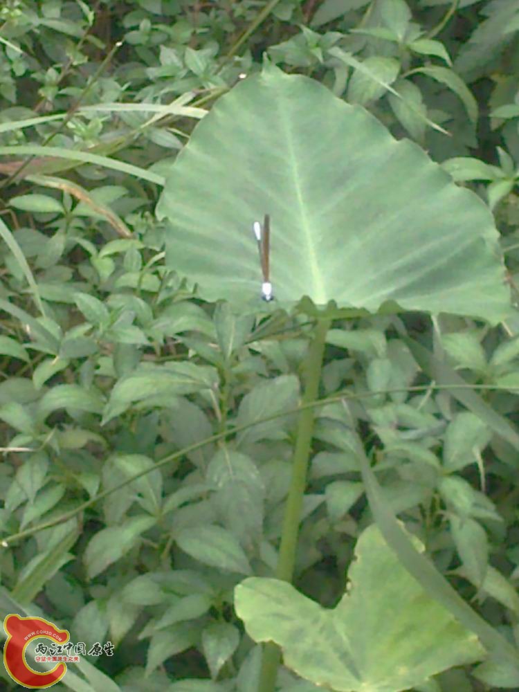 照片224.jpg
