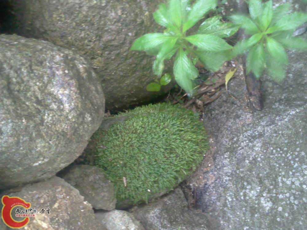 照片240.jpg