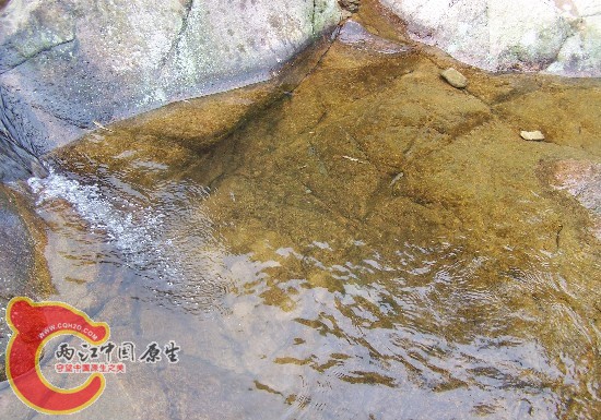 原生地