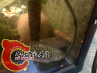 未命名.jpg
