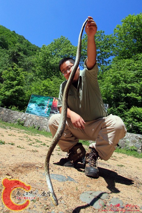 u78821711_1312ac35e58g215.jpg