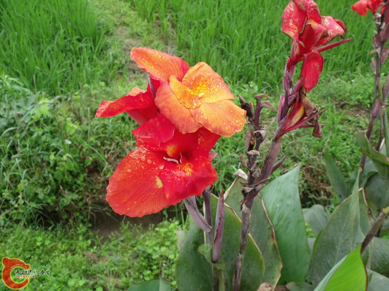 DSCF3147.JPG