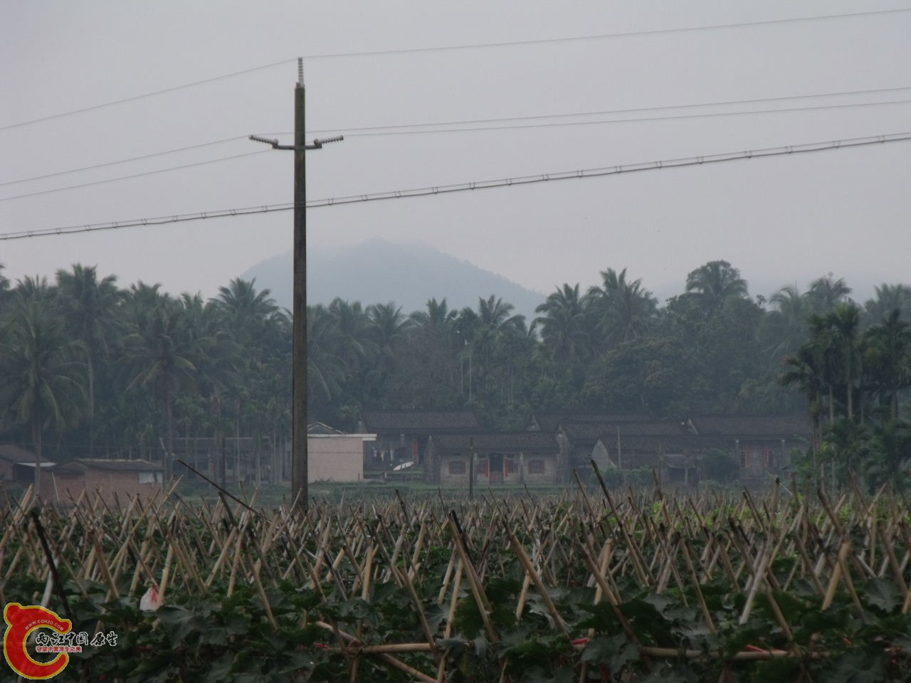 DSCF3150.JPG