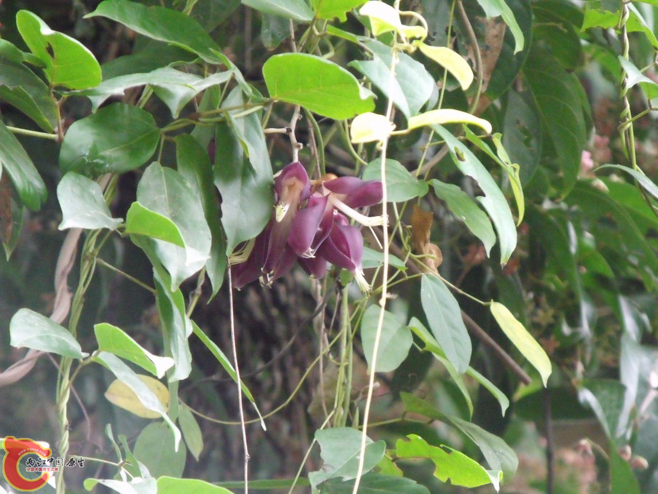 DSCF3151.JPG