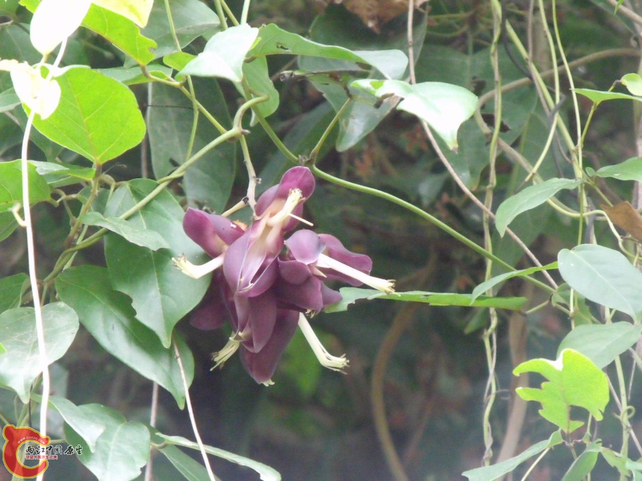DSCF3153.JPG