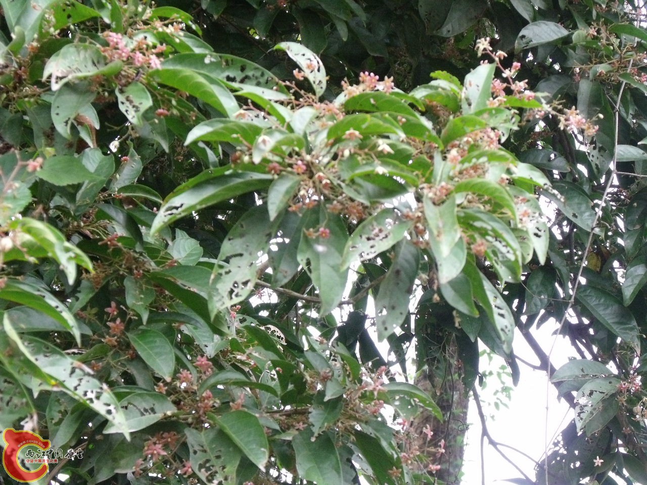 DSCF3154.JPG
