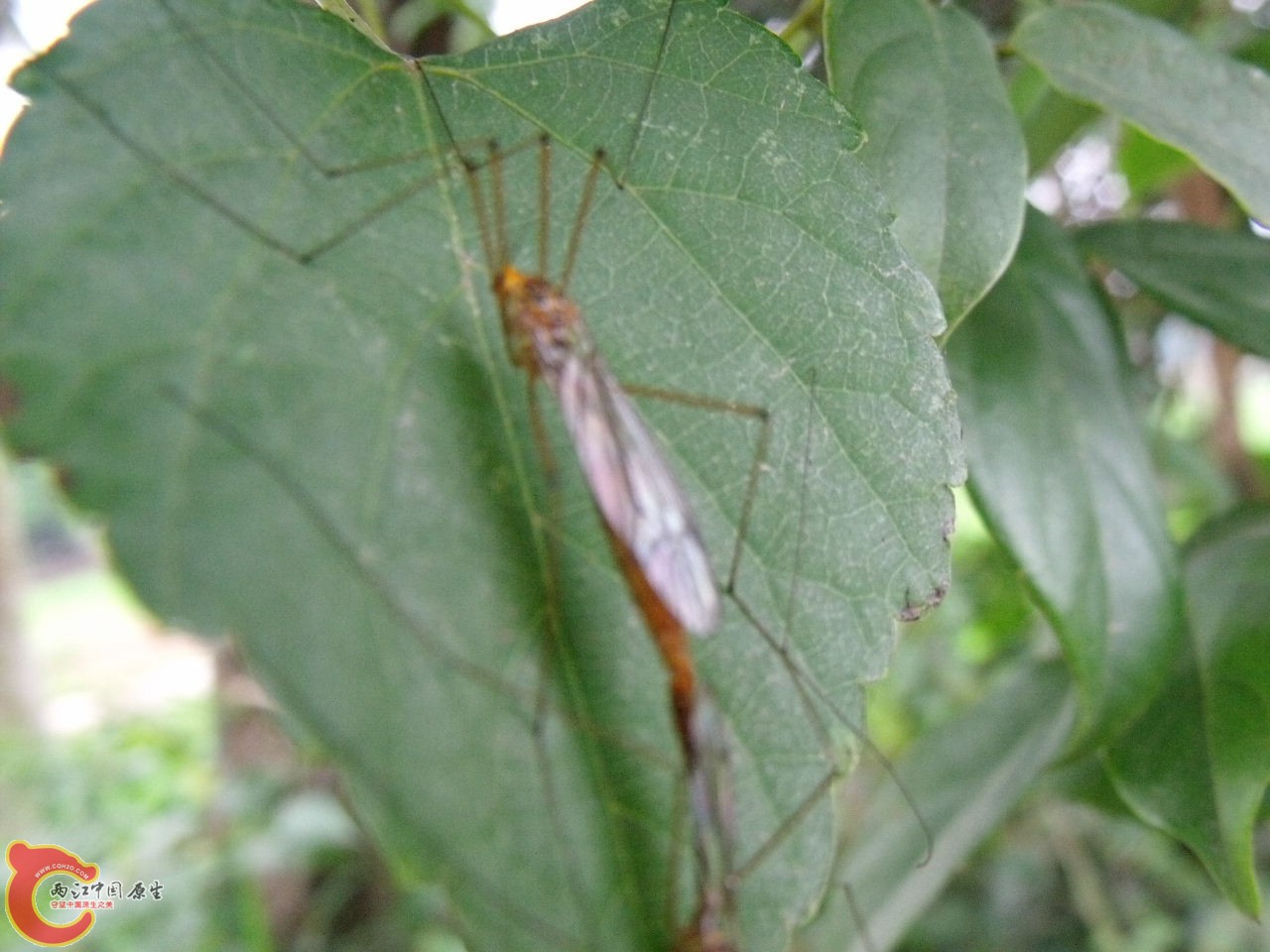 DSCF3161.JPG