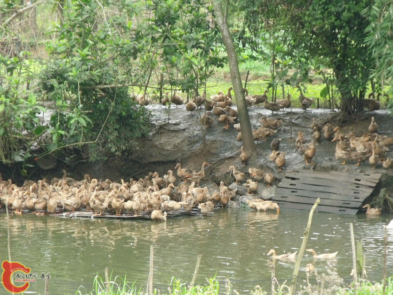 DSCF3163.JPG