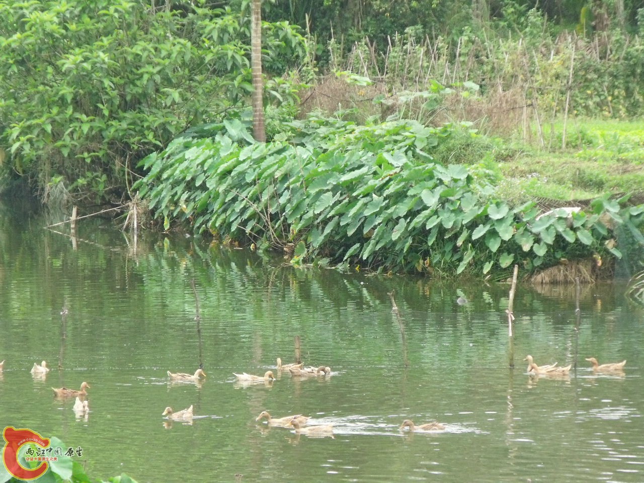 DSCF3164.JPG