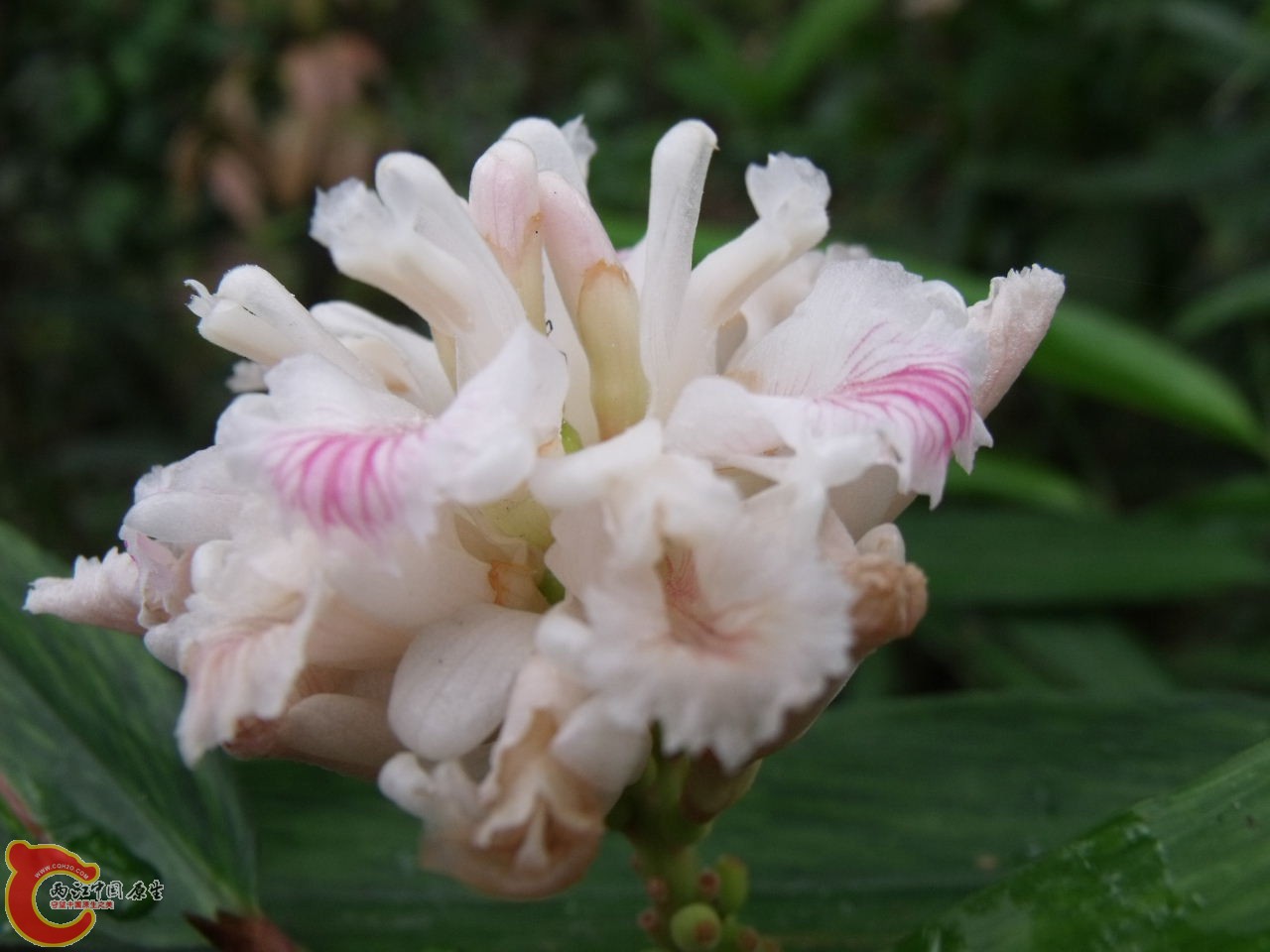 DSCF3168.JPG