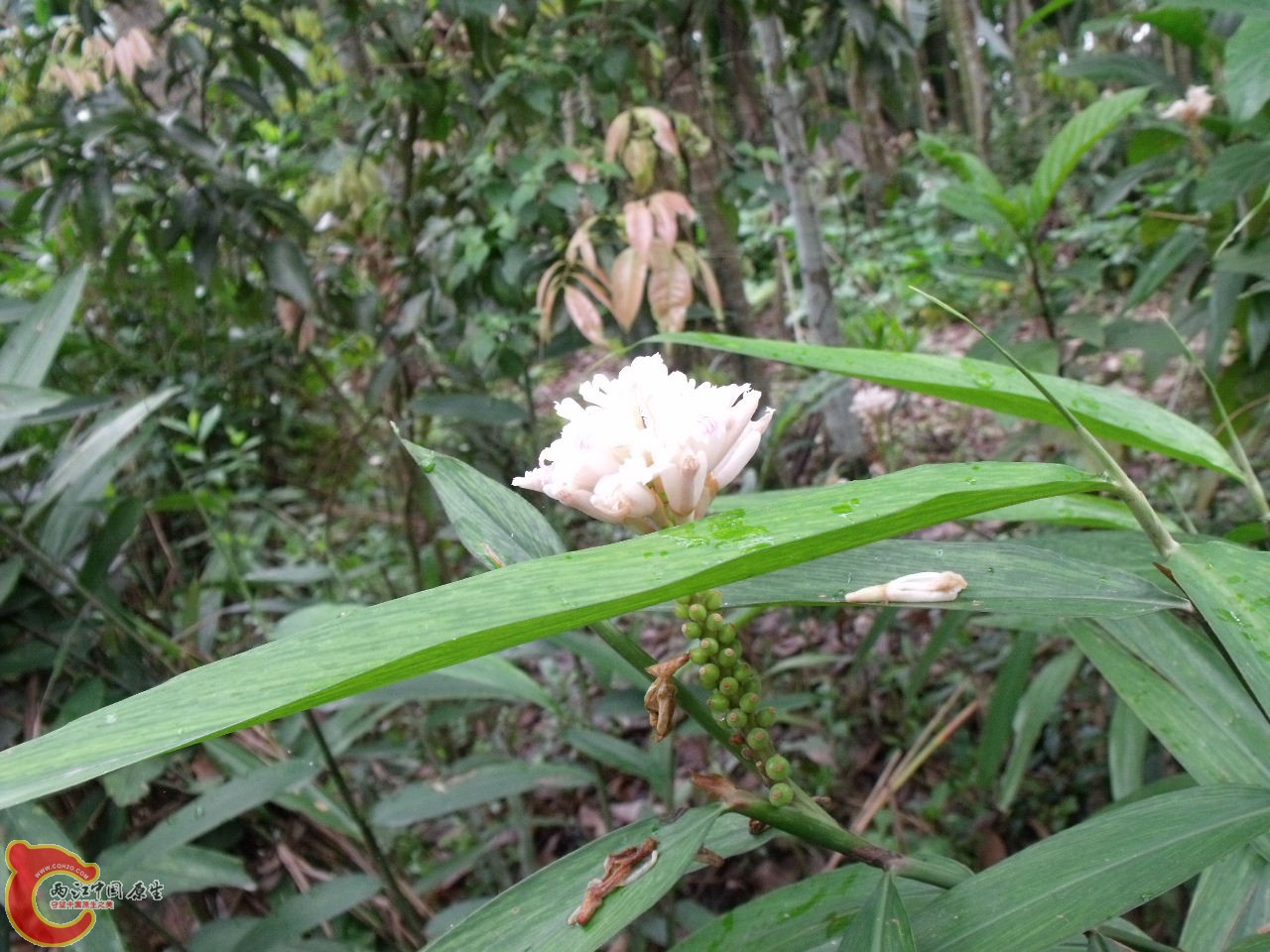 DSCF3169.JPG